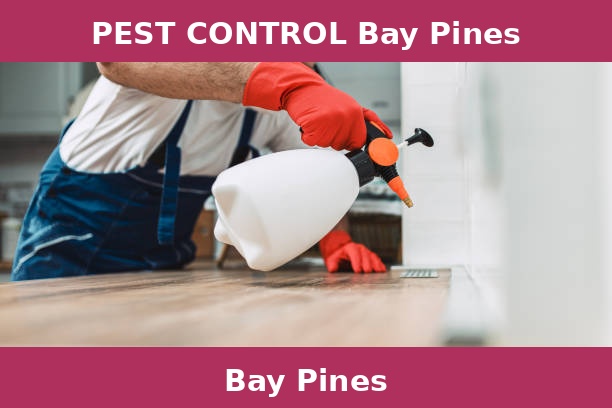 PEST CONTROL Bay Pines